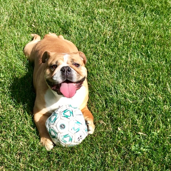 Meet your Posher, Debra - Picture 2 of 3